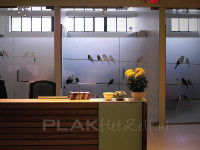 Gesneden raamfolie (1), powerlines, telephonelines, vogels, rustgevend ontwerp, kantoor, privacy
